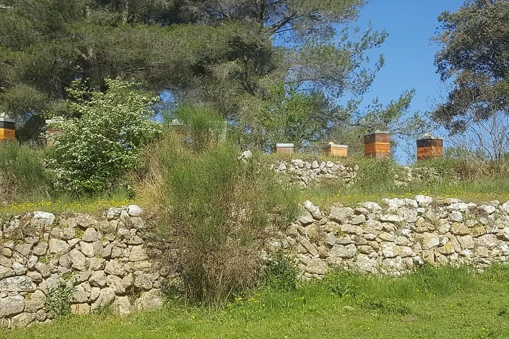 Charmant Appartement Neuf Le Taoume Marseilles Apartment